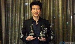 王力宏历年爆料新闻视频,揭秘明星背后的故事与争议