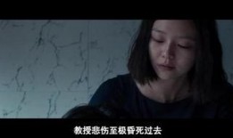 布拉芙夫人手机在线观看,揭秘神秘女性的情感世界